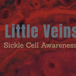 Team Page: Little Veins